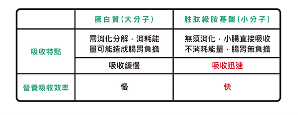 螢幕快照 2021-05-18 下午4.24.34