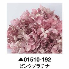 大地農園01510-192_繡球花哪裡買_繡球花介紹_永生花專賣_永生花推薦_愛意花坊-2022.jpg