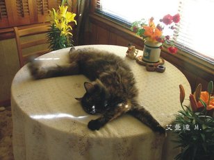 網誌-生活-小娜-6.jpg