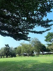 IMG_1474.JPG