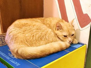 下雨也要玩花蓮的親子旅行　時光二手書屋
