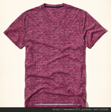 2016-08-09 15_45_18-Guys Must-Have V Neck T-Shirt _ Guys Tops _ HollisterCo.com.png