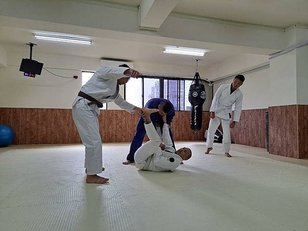 [ 參訪巴柔 ] 本土 BJJ 棕帶 HOWIE教練（巴西柔