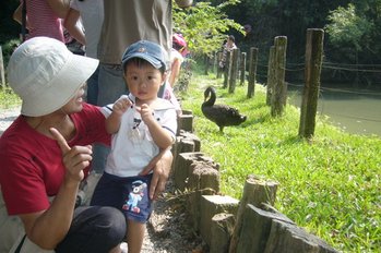 P1060735-1.jpg