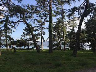 IMG_1856.JPG