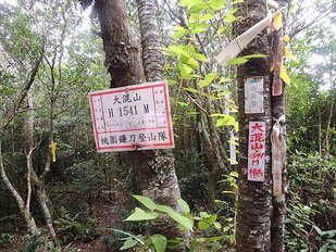 2015-07-30  新竹大混山李棟山八五山   057.JPG