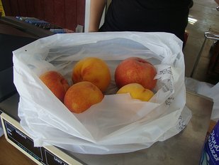 DSC03176.JPG
