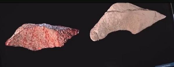 納萊迪人Homo naledi已經滅絕的人科物種「埋葬遺體」
