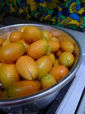 照片 192.jpg