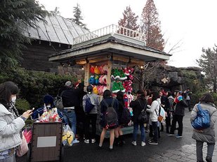 IMG_20151224_093433.jpg
