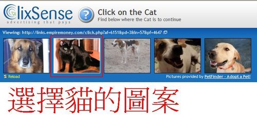 (３)點選廣告，選擇貓的圖案