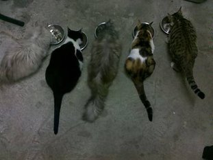 2012-07-15_21-05-25_771
