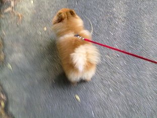 300520101559.jpg