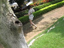 IMG_1595.JPG