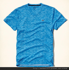 2016-08-09 15_45_05-Guys Must-Have V Neck T-Shirt _ Guys Tops _ HollisterCo.com.png