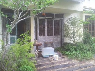 南區 JIFS Cooking Salon (吉福斯) 