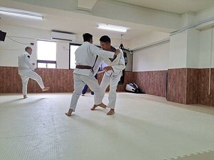 [ 參訪巴柔 ] 本土 BJJ 棕帶 HOWIE教練（巴西柔