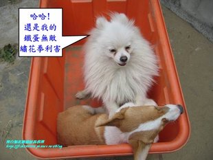 IMG_0420.jpg