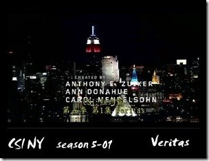 CSI NY season 501