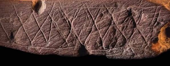納萊迪人Homo naledi已經滅絕的人科物種「埋葬遺體」