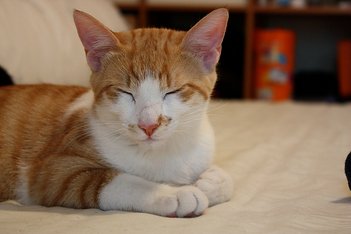 IMG_0292.JPG