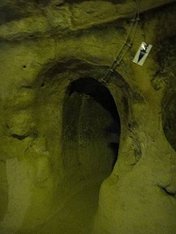 156.jpg