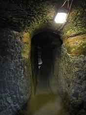 157.jpg