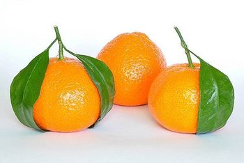 橘子
