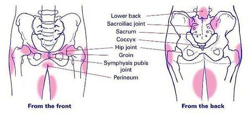 pelvic pain.jpg