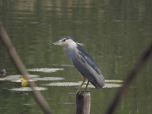 IMG_2582