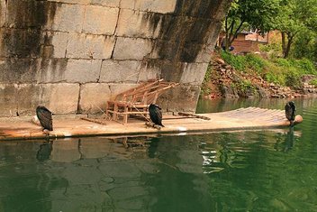 IMG_4465.JPG