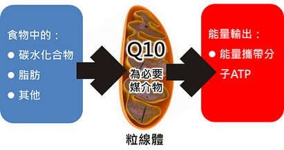 26549874+