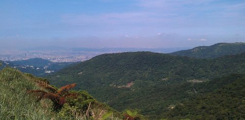 p10.jpg