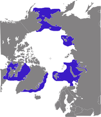 220px-Odobenus_rosmarus_distribution.png