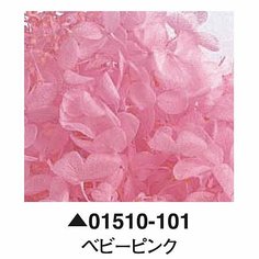 大地農園01510-101_繡球花哪裡買_繡球花介紹_永生花專賣_永生花推薦_愛意花坊-2022.jpg