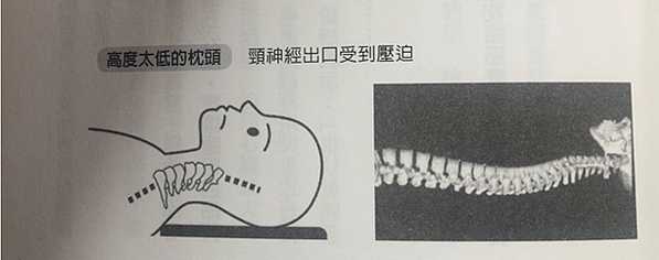 截圖 2020-04-06 上午11.27.14