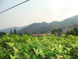 DSC00732.JPG