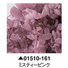 大地農園01510-161_繡球花哪裡買_繡球花介紹_永生花專賣_永生花推薦_愛意花坊-2022.jpg