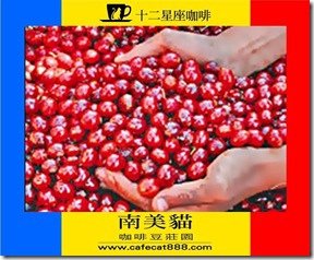 簡報2