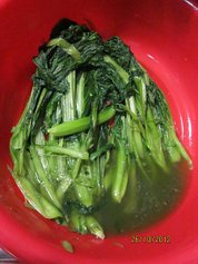 2012-10-26  種菜   002.JPG