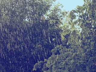 raining.jpg