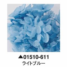 大地農園01510-611_繡球花哪裡買_繡球花介紹_永生花專賣_永生花推薦_愛意花坊-2022.jpg