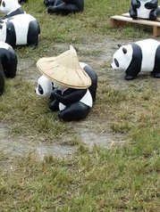 20140720_142018_光榮北路四街.jpg