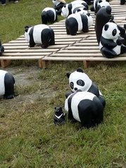 20140720_142028_光榮北路四街.jpg