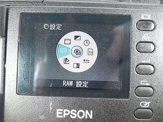 Epson R-D1