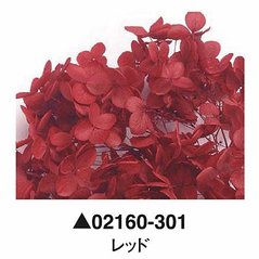 大地農園02160-301_繡球花哪裡買_繡球花介紹_永生花專賣_永生花推薦_愛意花坊-2022.jpg