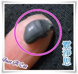 毛孔清潔泥