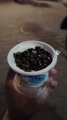 DSC04204.JPG