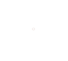 20070403035920309.gif