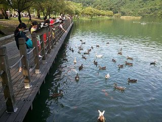 20140805_161634